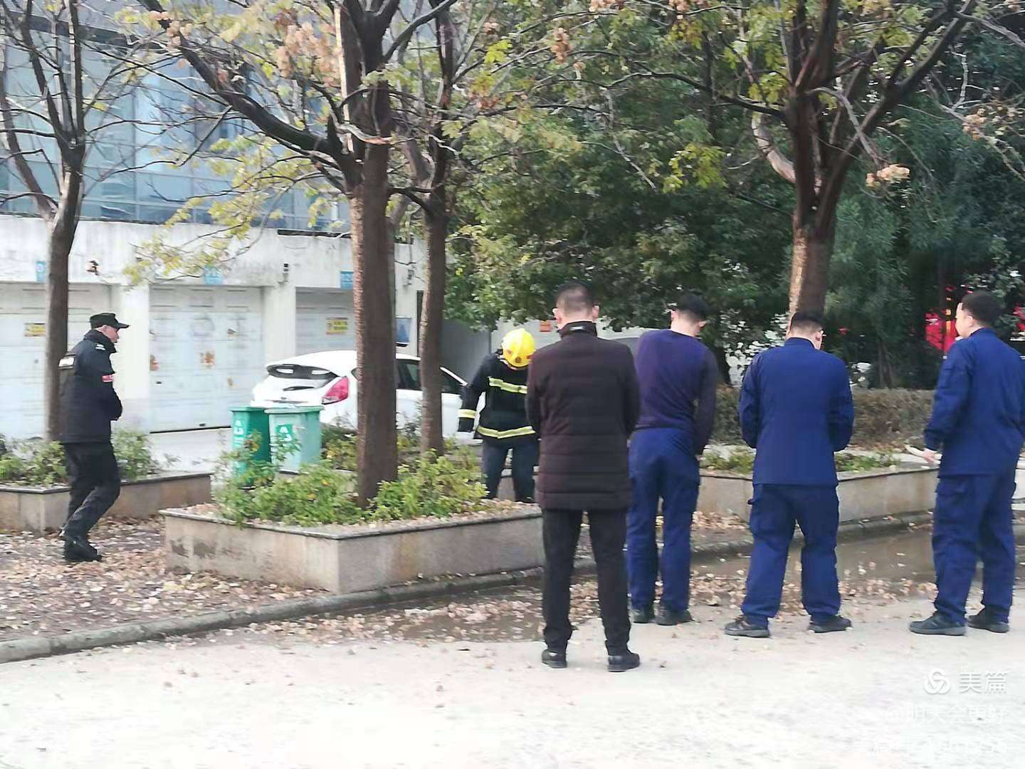 1608275448335239.jpg 1608275448335239.jpg