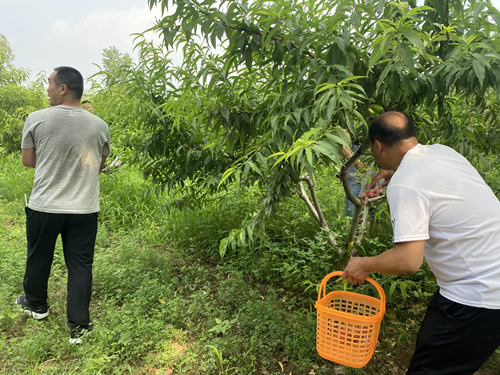 1624959093906296.jpg IMG_8275.JPG