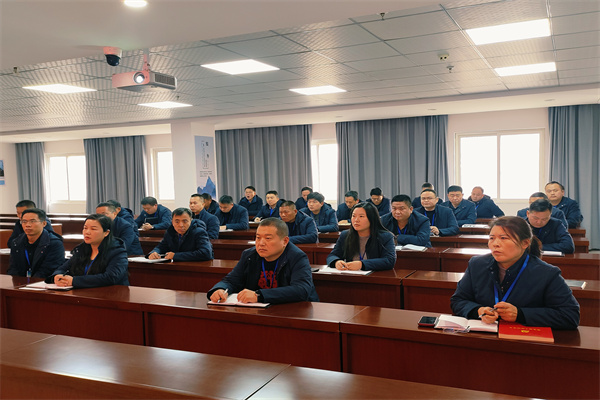 1764839976521389.jpg 3.jpg